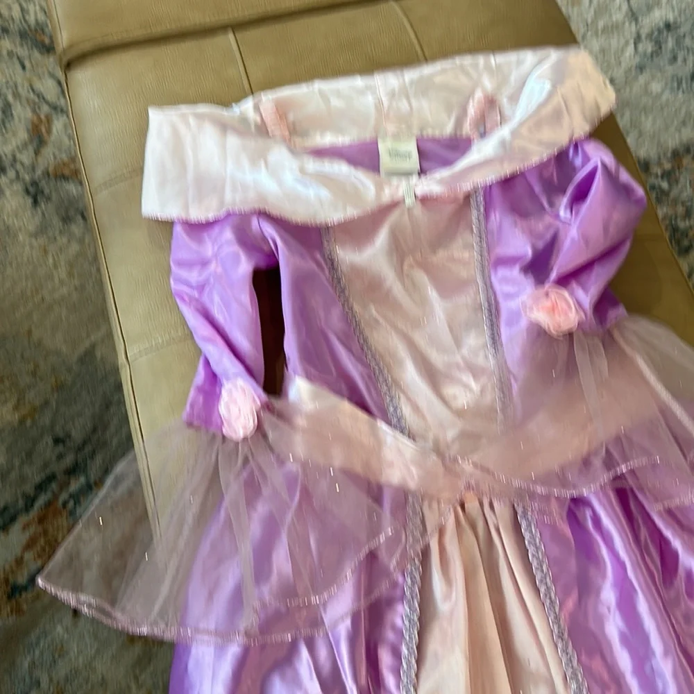 Disney’s Rapunzel size 10 costume from tangled she pretty roses on sleeves